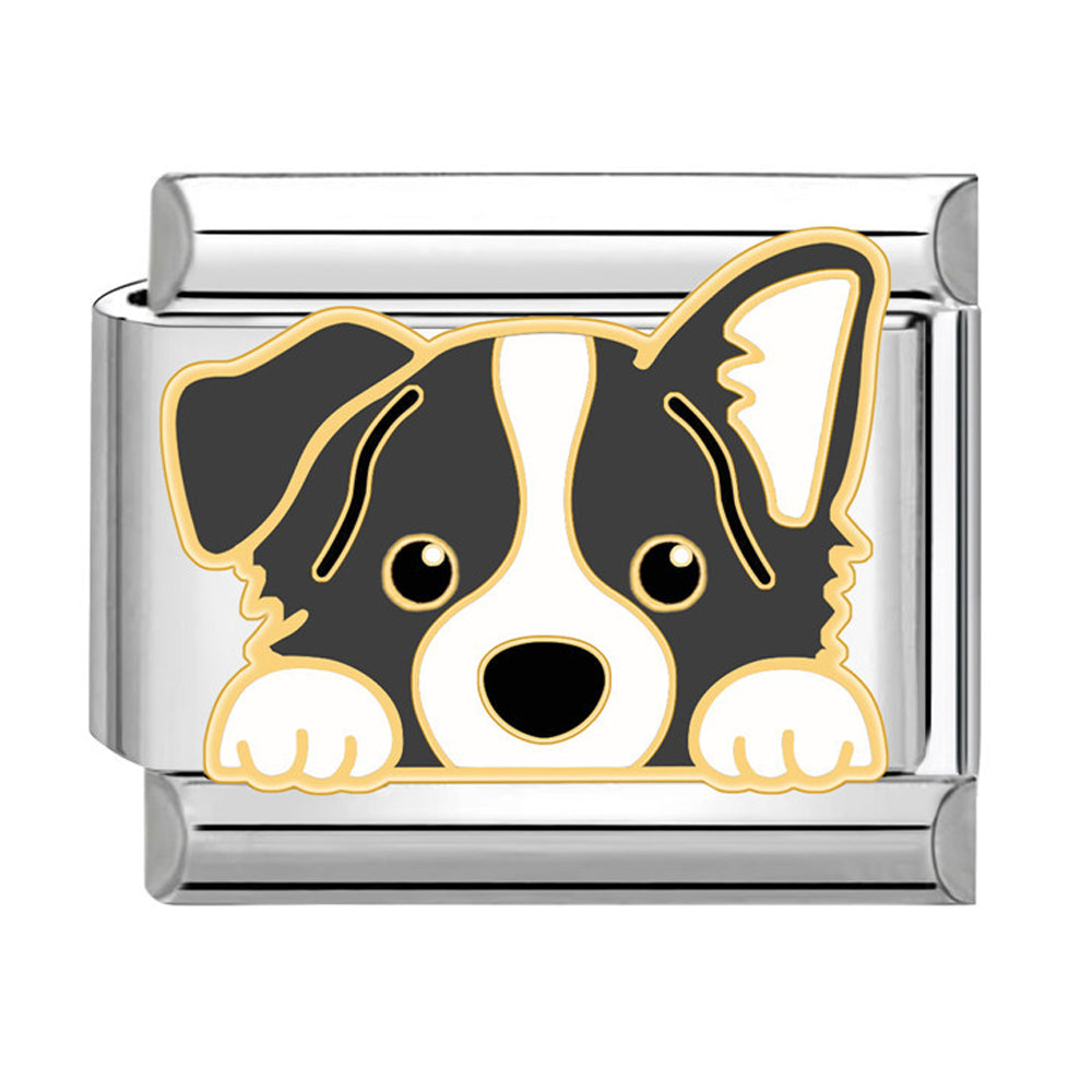 Charm perrito